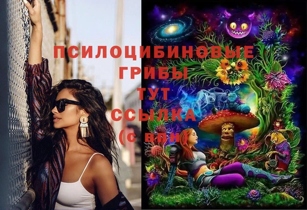 spice Михайловск