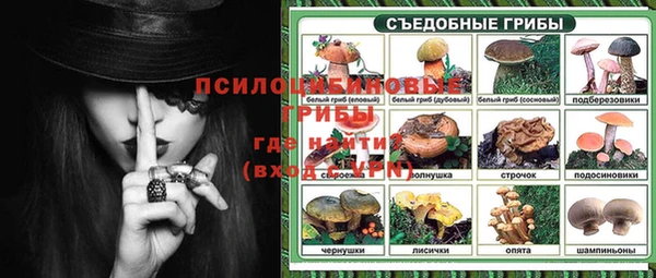 ешки Абдулино